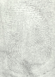 Imagen en blanco y negro

El contenido generado por IA puede ser incorrecto.